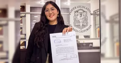 Diputada Michel Snchez Allende