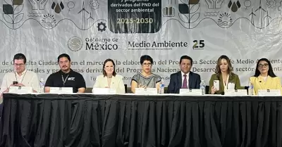 Participacin empresarial en agenda ambiental 2025-2030