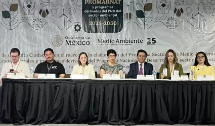 Participacin empresarial en agenda ambiental 2025-2030