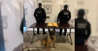 Incautan metanfetamina en la colonia Buenavista en Tijuana