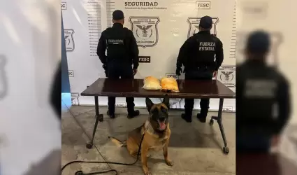 Incautan metanfetamina en la colonia Buenavista en Tijuana