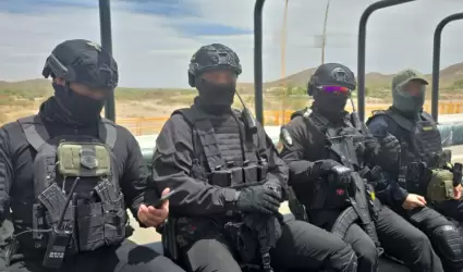 ICE publica post sobre desmantelamiento de narcolaboratorios en Sinaloa