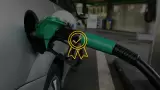 En Mxico, la gasolina influye en autos y medio ambiente.