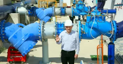 Desempeo financiero y operativo slido