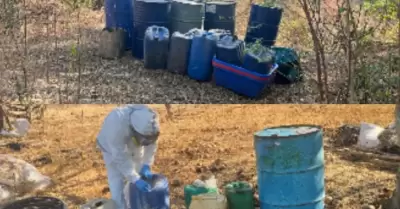 Laboratorios clandestinos