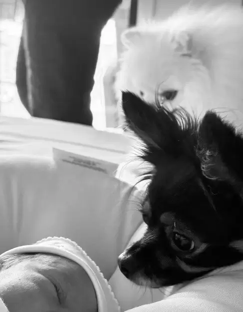 Hija de Ana Brenda con sus mascotas.