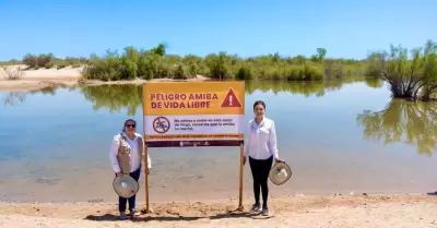 Realizan operativo para prevenir da�os por amiba libre y recomiendan no nadar en