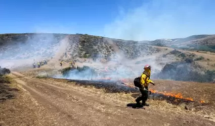 Concluye con xito curso binacional forestal 2025