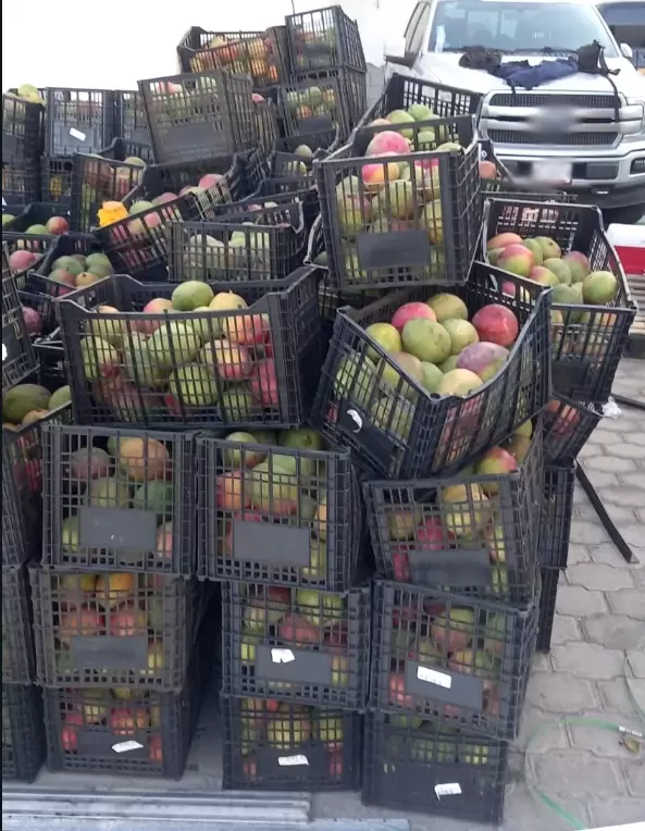 FGR asegura alrededor de 340 kilogramos de probable metanfetamina