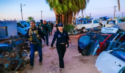 Operativos en yonkes para combatir el robo de vehculos