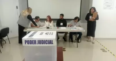 INE, eleccin judicial