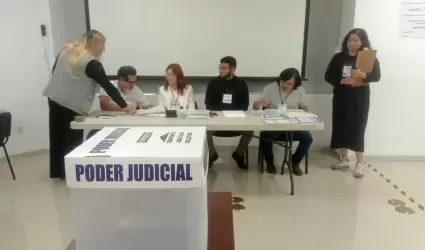 INE, eleccin judicial
