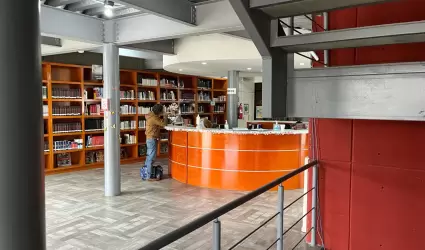 Biblioteca modelo