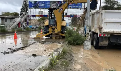 Trabajos de mantenimiento