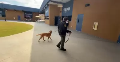 Oficial de libertad condicional y K-9