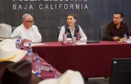 Invierte gobierno estatal 34 mdp para garantizar precio justo a trigueros: gobernadora Marina del Pilar