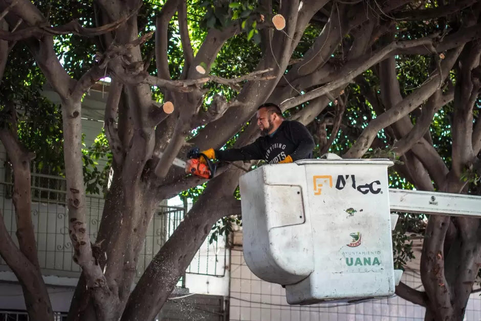 Tijuana: Ciudad Limpia