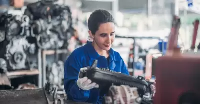 Desarrollo de autopartes