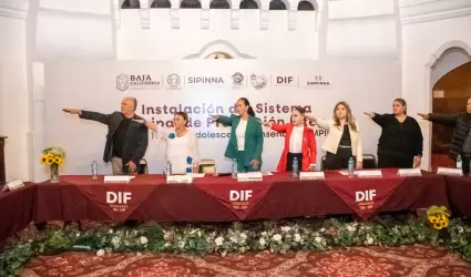 Sistema Municipal de Proteccin Integral de Nias, Nios y Adolescentes