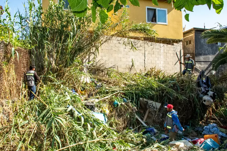 Limpieza de arroyo de la Bronce