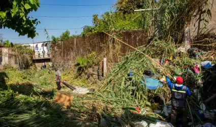 Limpieza de arroyo de la Bronce