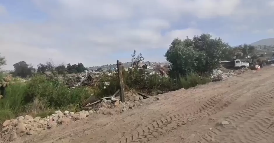 Habitantes del Ribera del Bosque