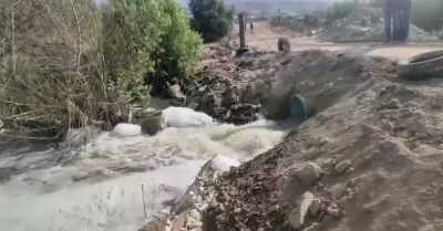 Habitantes del Ribera del Bosque