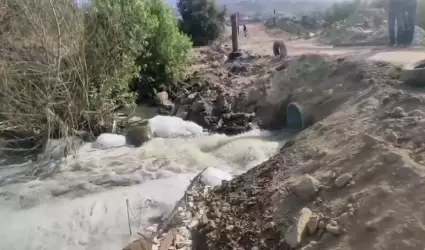 Habitantes del Ribera del Bosque