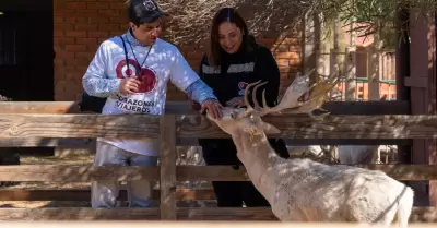 Programa Corazones Viajeros