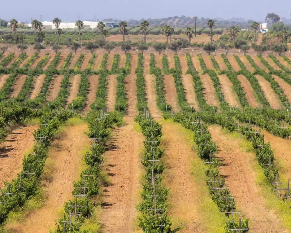 Programa Corazones Viajeros