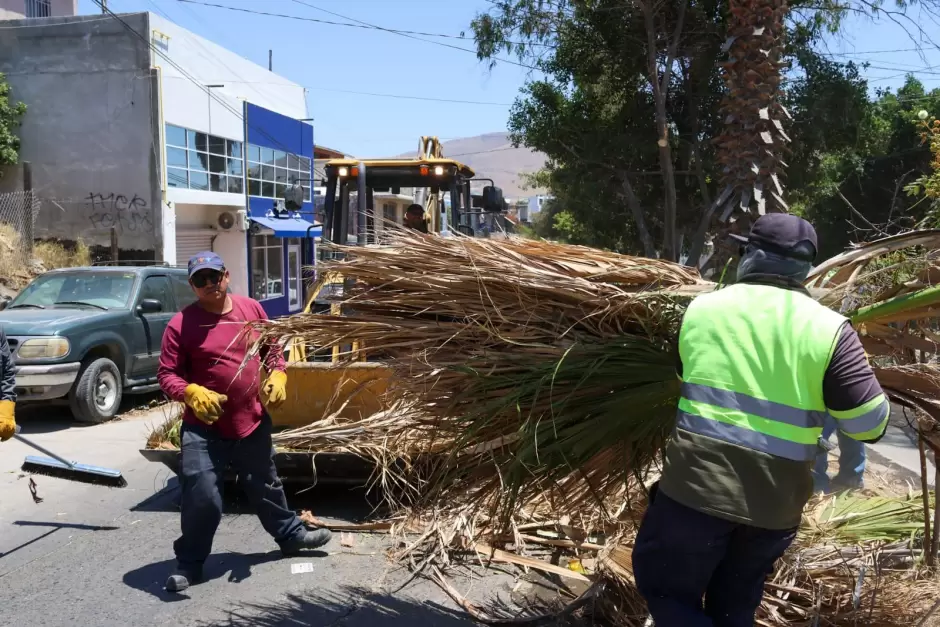 Tijuana Ciudad Limpia