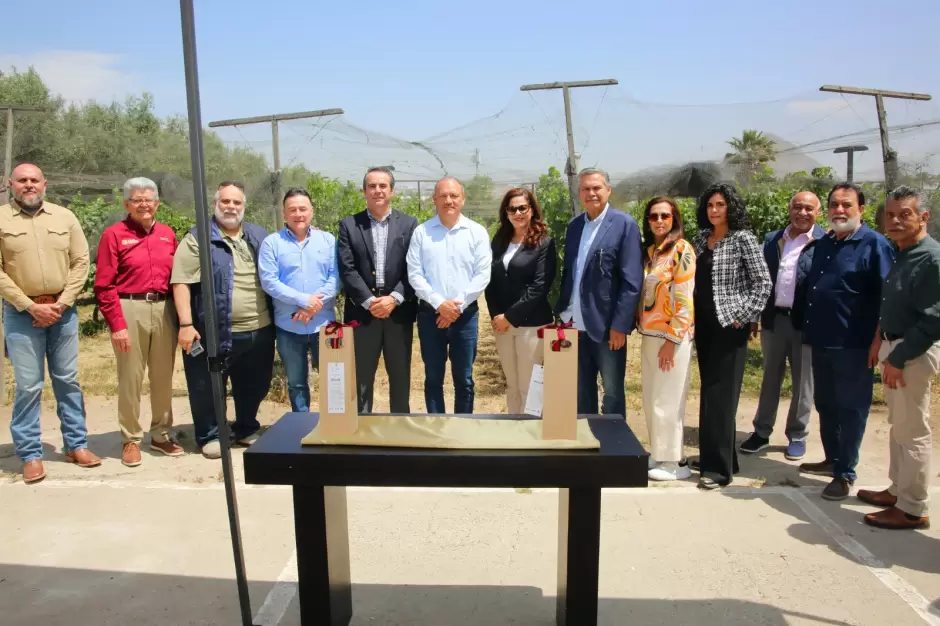 Viedo experimental "La Morita"