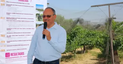 Viedo experimental "La Morita"