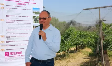 Viedo experimental "La Morita"