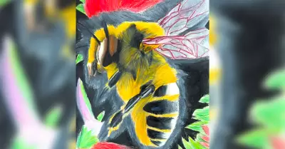 Primer lugar en concurso Nacional Apcola