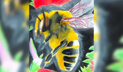 Primer lugar en concurso Nacional Apcola