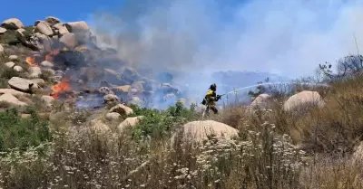 Controlan incendio forestal en Rancho Cipr�s-Reserva Kumiai en Tecate