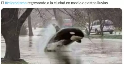 Meme del microsismo