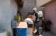 Llaman en Baja California a mantener casas y mascotas limpias, contra la Rickettsia