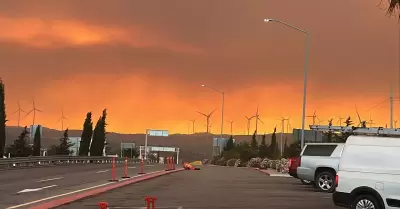 Combate en incendios forestales activos en Tecate
