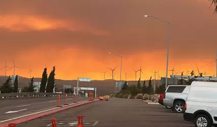 Combate en incendios forestales activos en Tecate