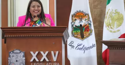 Diputada Evelyn Sánchez Sánchez