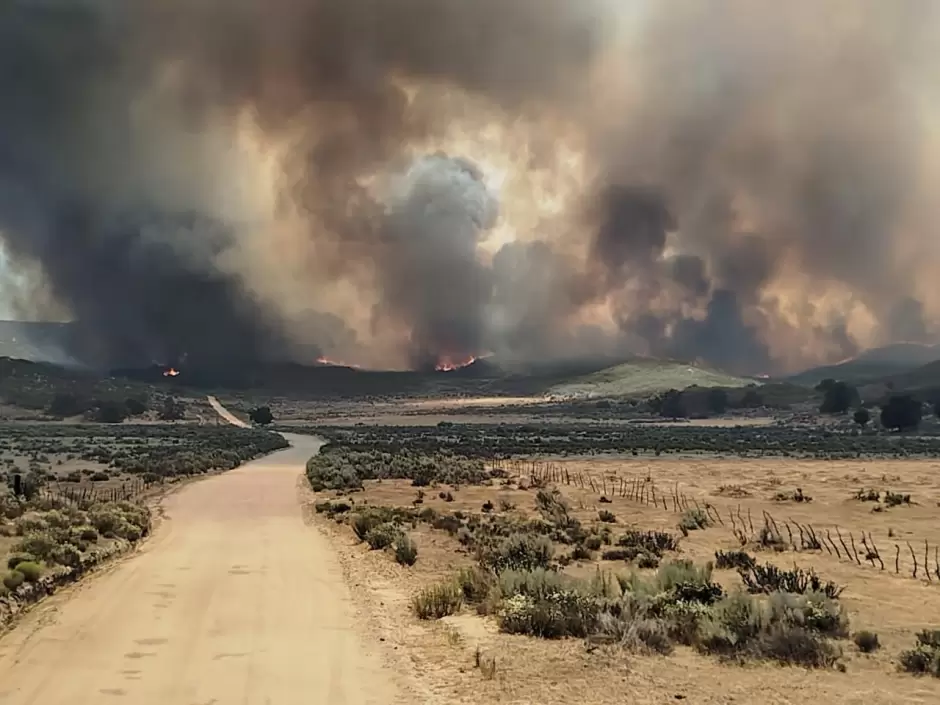 Suman esfuerzos Bomberos de Tijuana en el combate de incendios forestales en Tecate