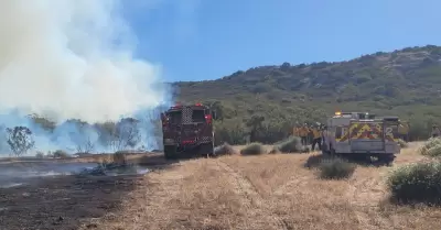 Suman esfuerzos Bomberos de Tijuana en el combate de incendios forestales en Tec