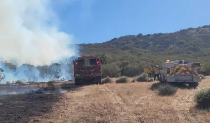 Suman esfuerzos Bomberos de Tijuana en el combate de incendios forestales en Tec