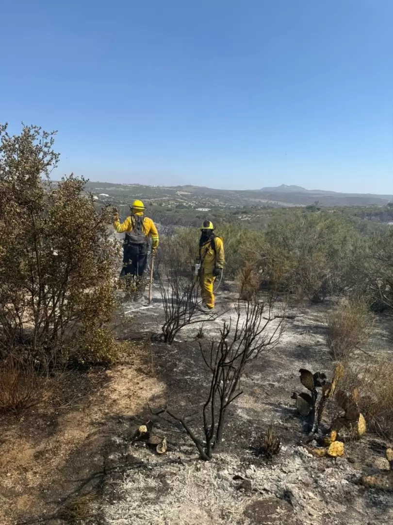 Suman esfuerzos Bomberos de Tijuana en el combate de incendios forestales en Tecate
