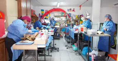 Esterilización canina y felina