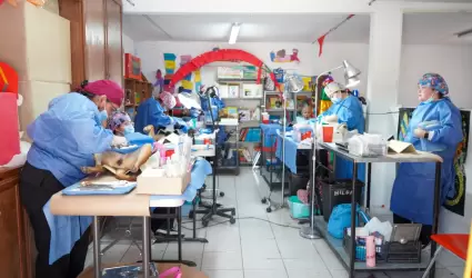 Esterilizaci�n canina y felina