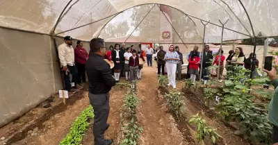 Festival de la Cosecha