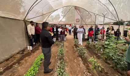 Festival de la Cosecha